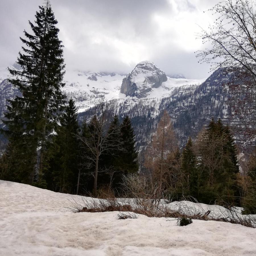 Il Risveglio Apartment Sella Nevea Bagian luar foto