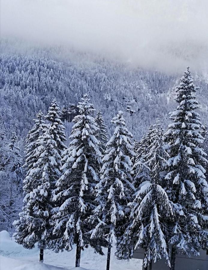 Il Risveglio Apartment Sella Nevea Bagian luar foto