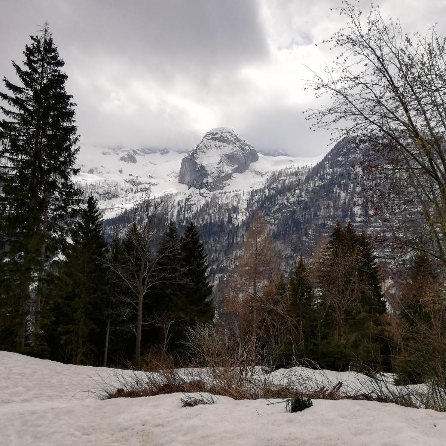 Il Risveglio Apartment Sella Nevea Bagian luar foto